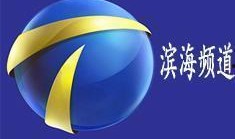 天津频道直播在线观看,天津频道精彩内容一览无余